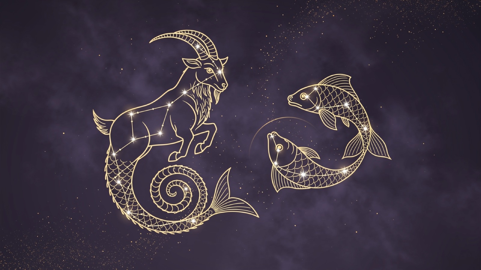 Capricorne et Poissons — illustration du duo : constellation dorée des deux signes sur ciel violet