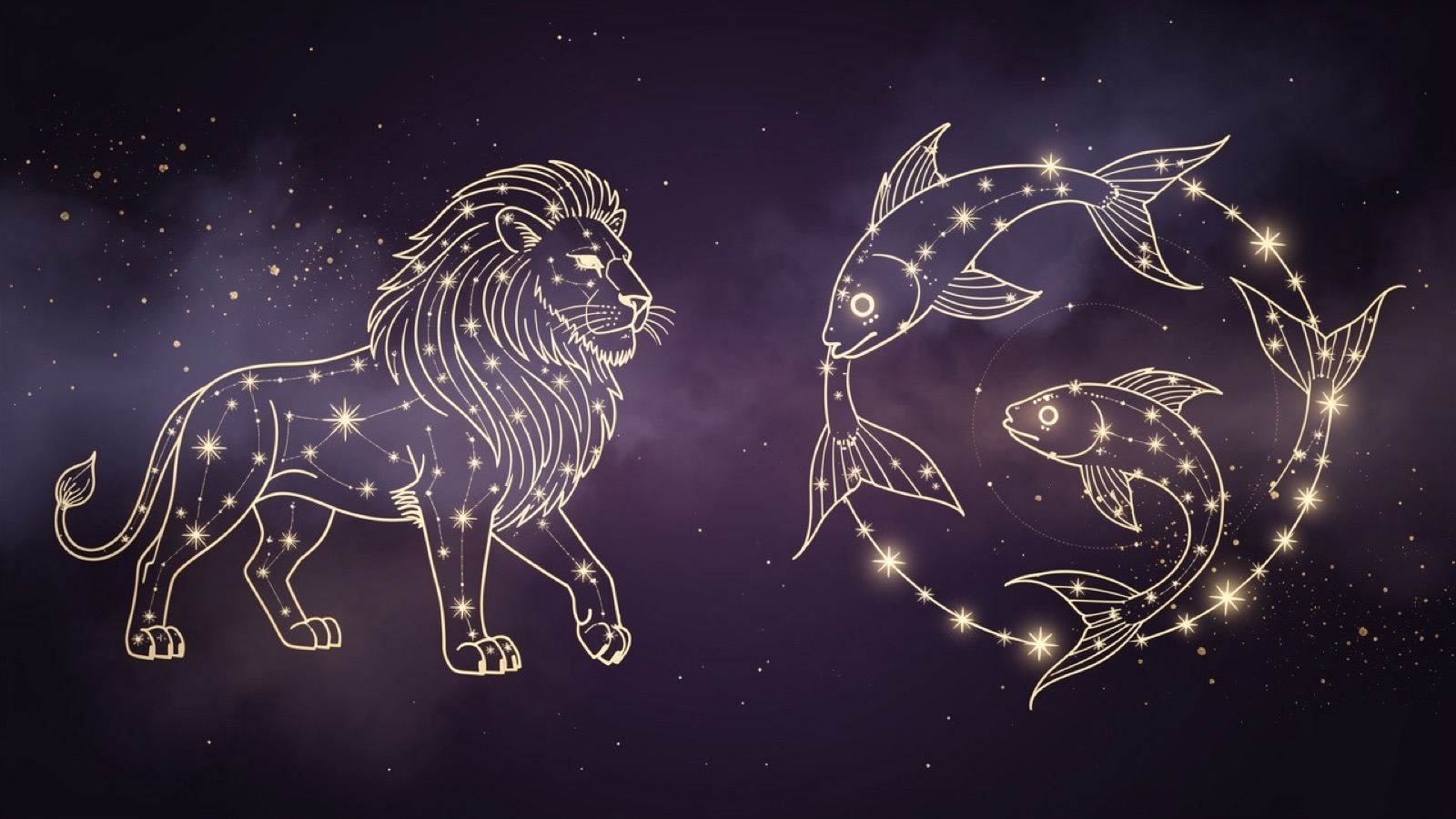 Lion et Poissons — illustration du duo : constellation dorée des deux signes sur ciel violet