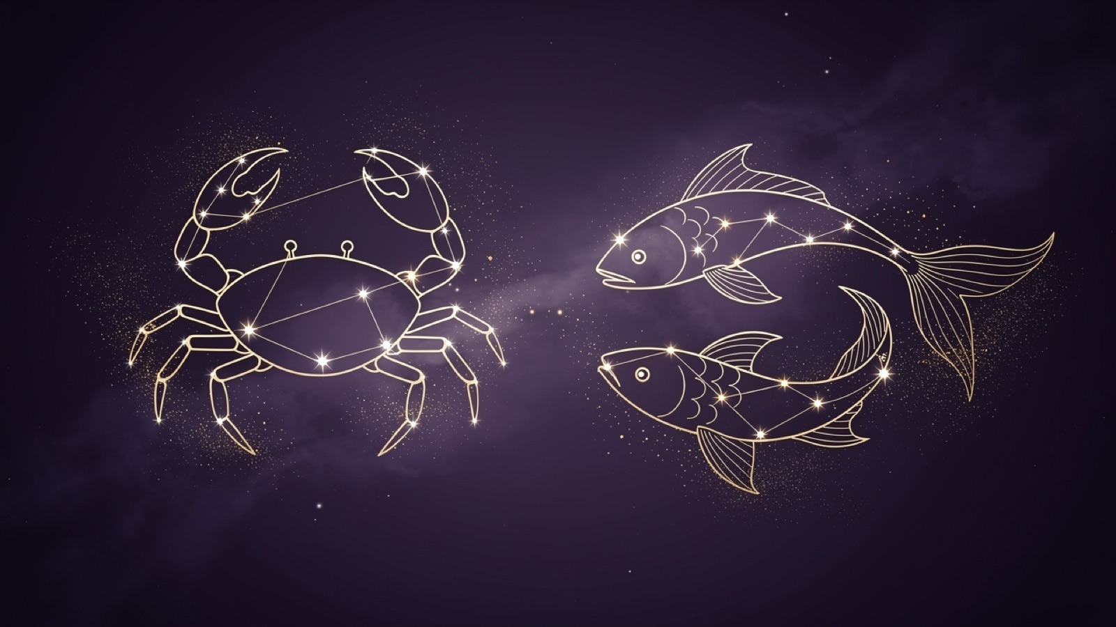 Cancer et Poissons — illustration du duo : constellation dorée des deux signes sur ciel violet