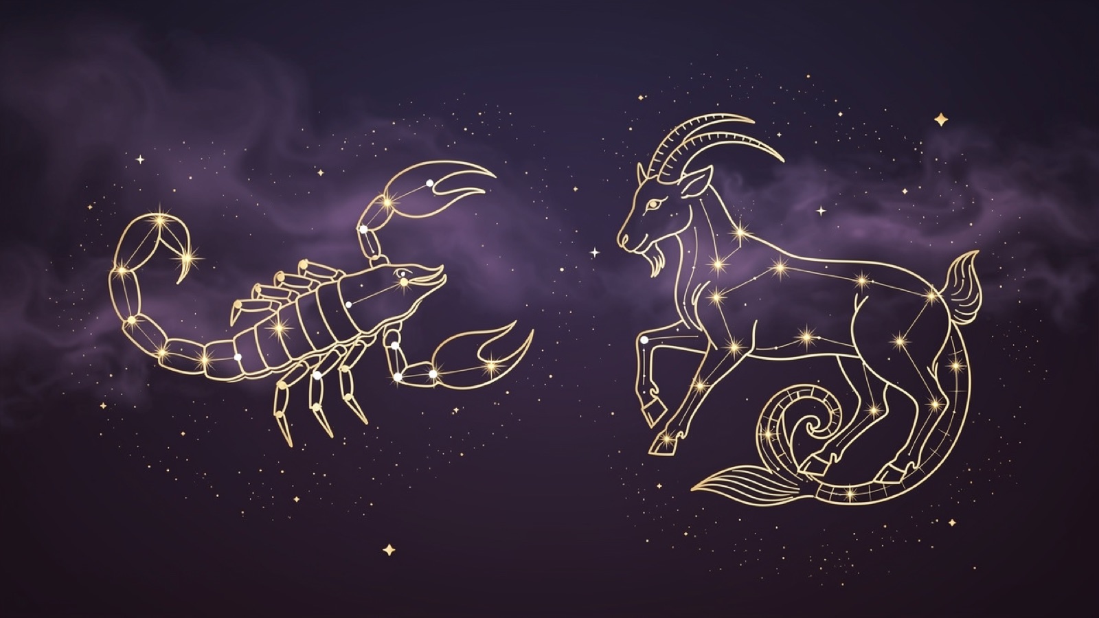 Scorpion et Capricorne — illustration du duo : constellation dorée des deux signes sur ciel violet