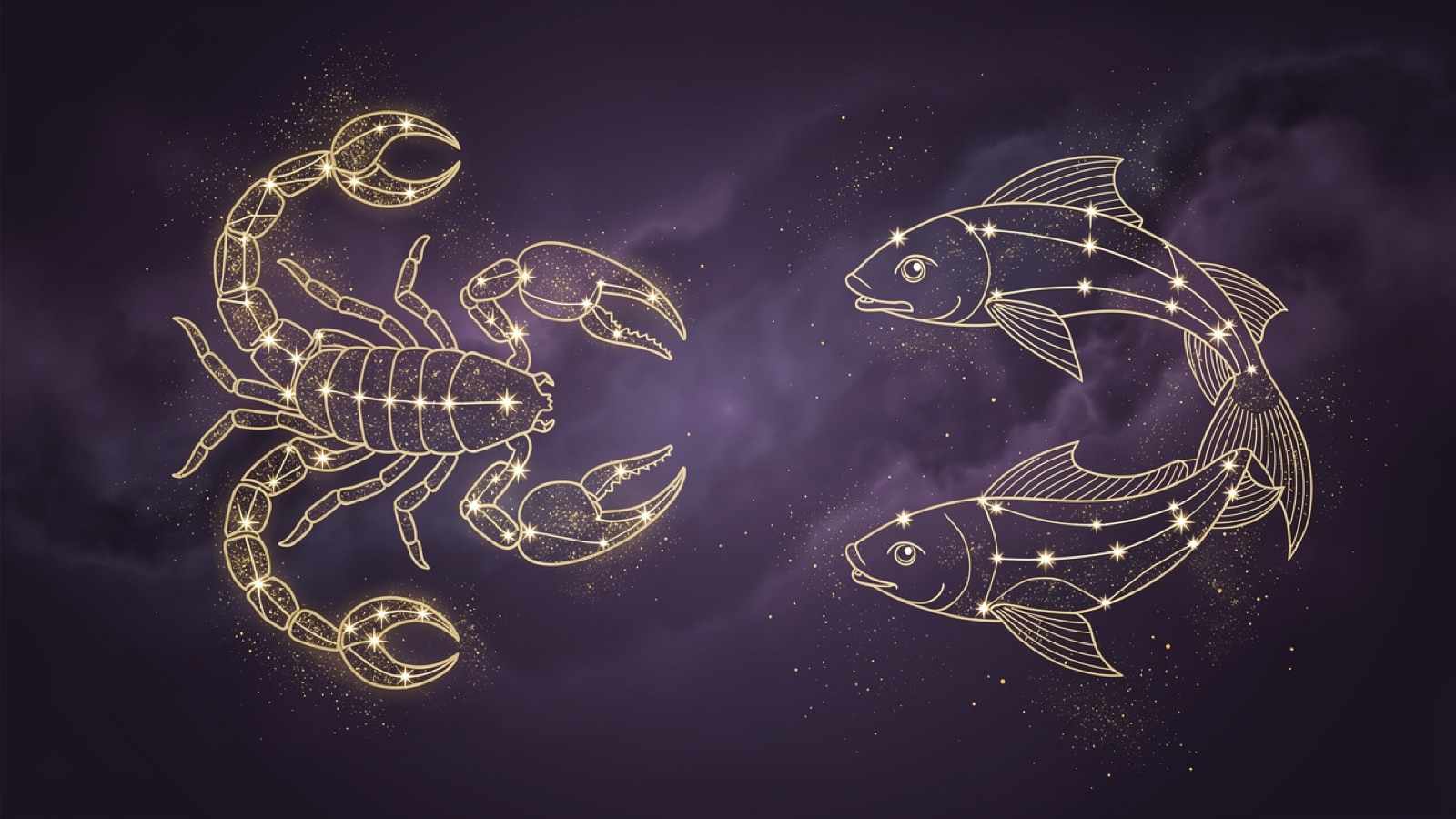Scorpion et Poissons — illustration du duo : constellation dorée des deux signes sur ciel violet