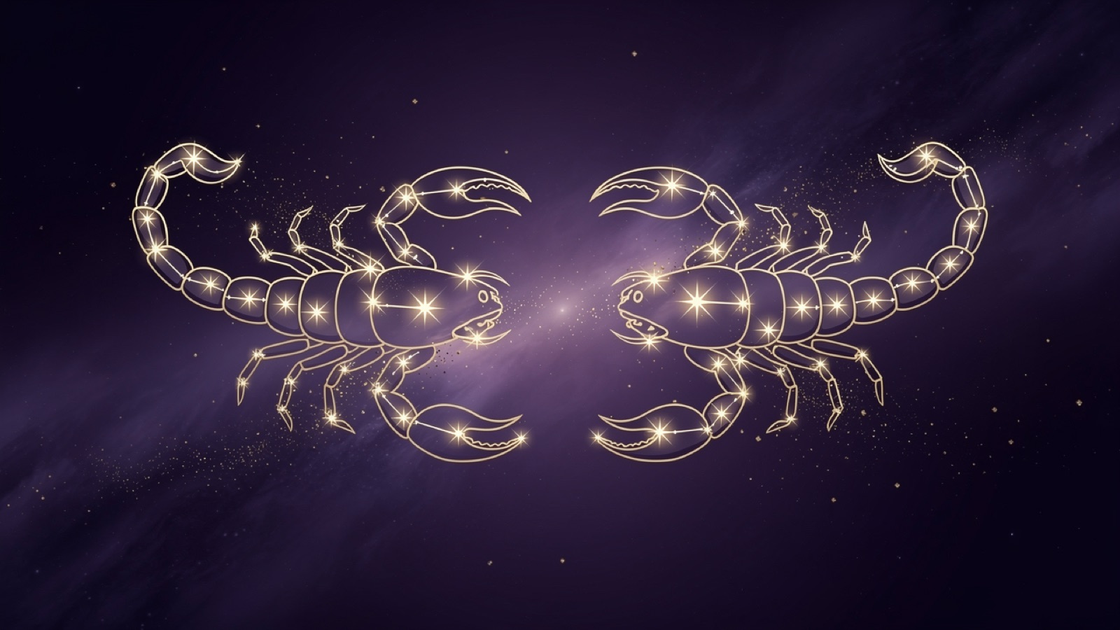 Scorpion et Scorpion — illustration du duo : constellation dorée des deux signes sur ciel violet
