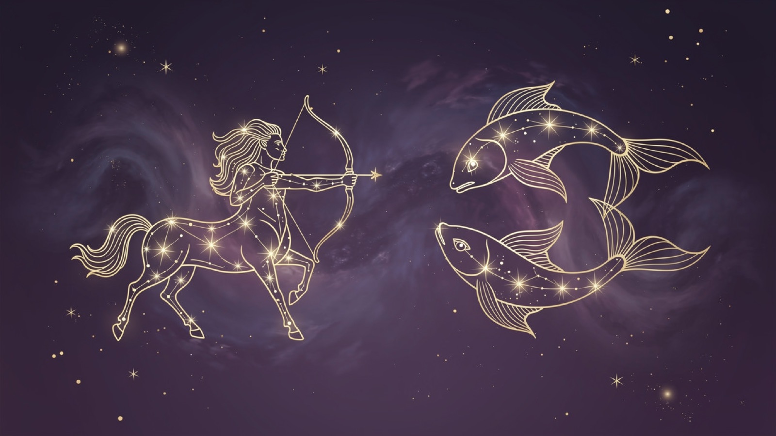 Sagittaire et Poissons — illustration du duo : constellation dorée des deux signes sur ciel violet