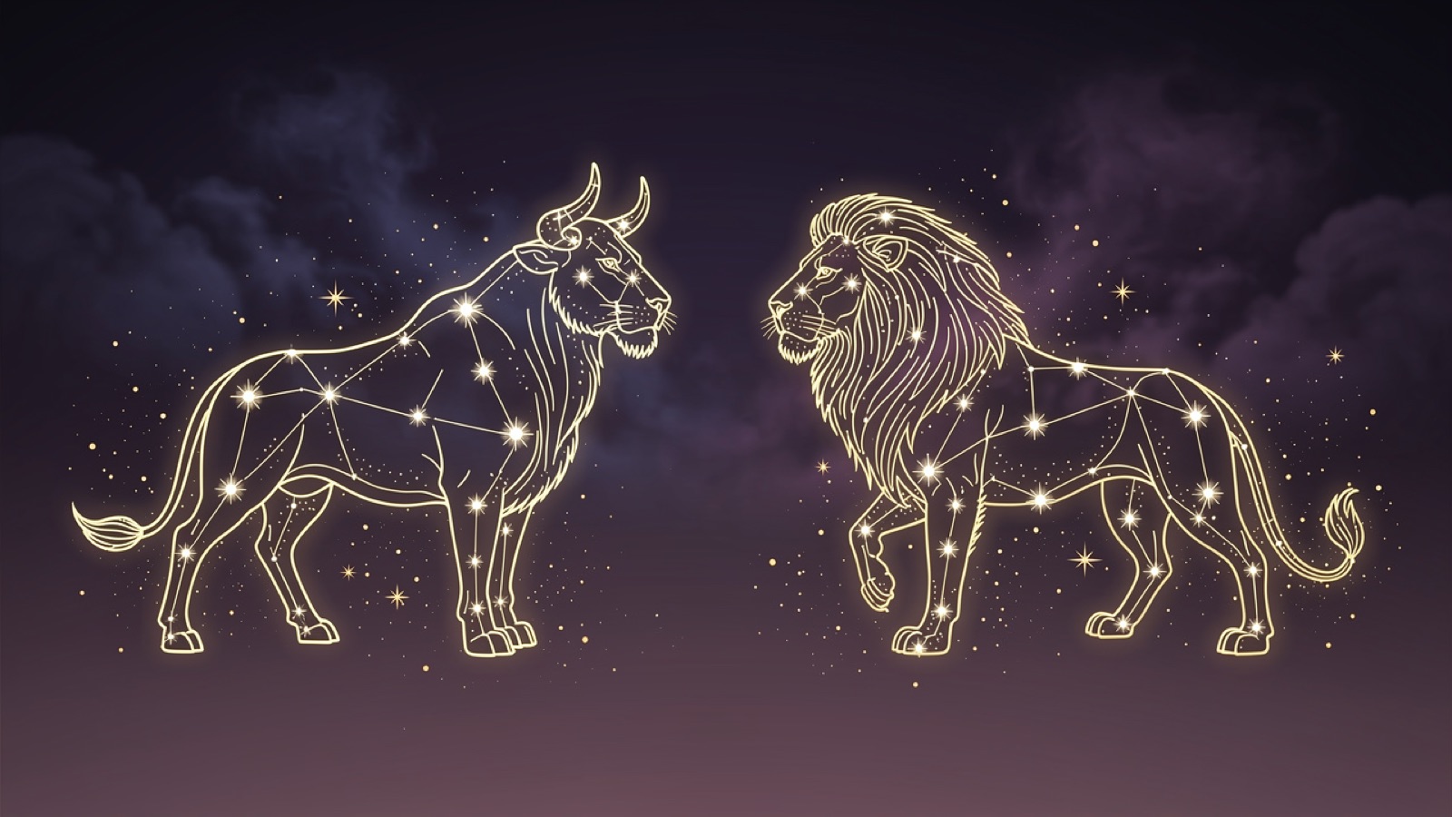 Taureau et Lion — illustration du duo : constellation dorée des deux signes sur ciel violet