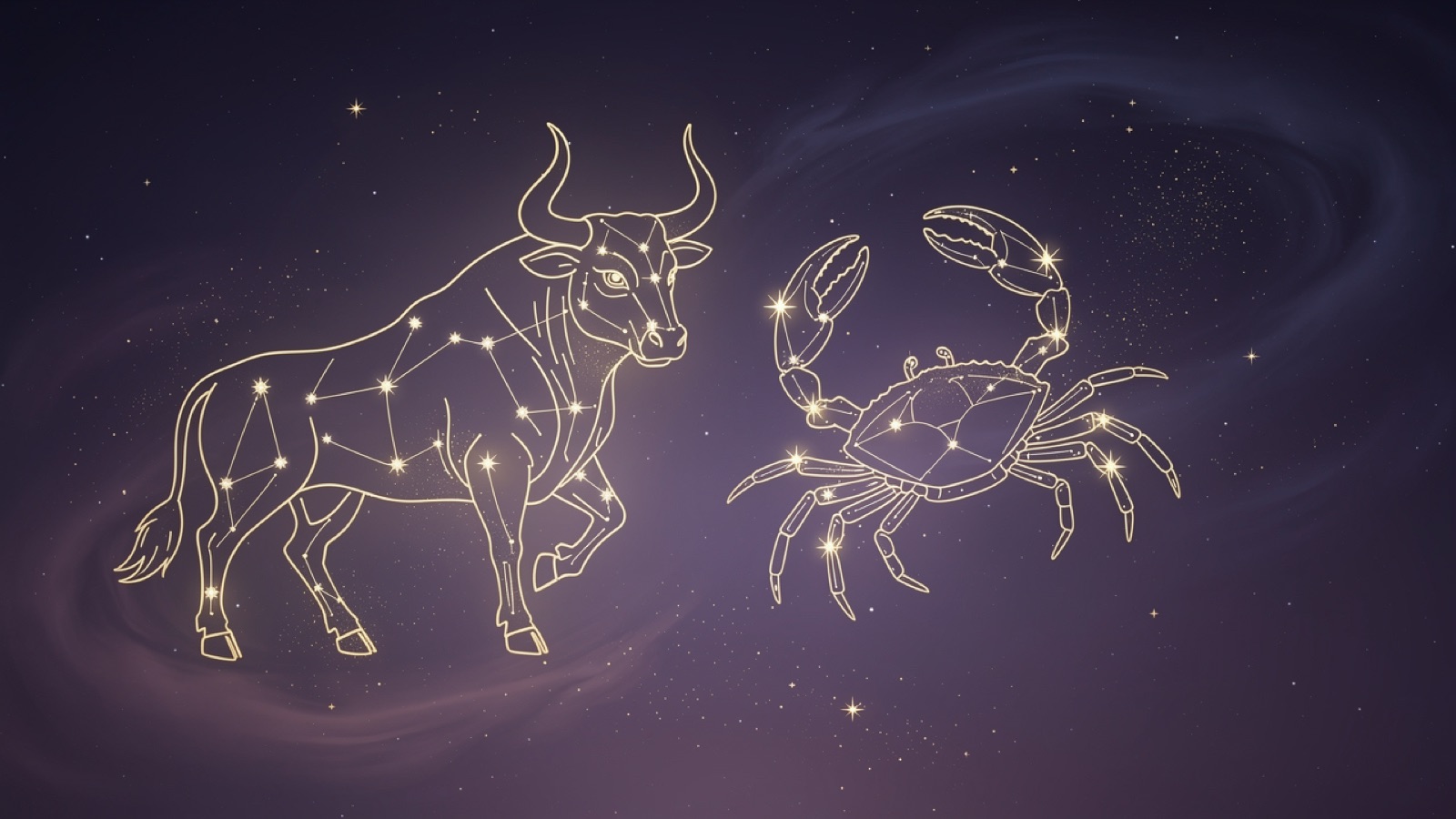 Taureau et Cancer — illustration du duo : constellation dorée des deux signes sur ciel violet